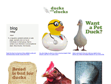 Tablet Screenshot of ducksandclucks.com